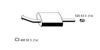 ERNST 520041 Middle Silencer